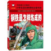 傅雷家书正版原著钢铁是怎样炼成的名人传世界名著小学生课外书籍 小学生优惠版 钢铁是怎样炼成的.