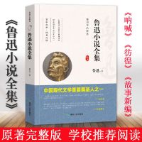 鲁迅全集正版杂文集小说集散文集鲁迅的书狂人日记朝花夕拾故乡等 鲁迅小说全集