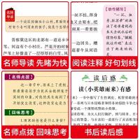 小英雄雨来原著正版四年级下册必读小学生三五六年级课外阅读书籍 小英雄雨来【注音】1年级
