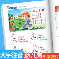 识字大全 幼儿园识字书幼儿启蒙早教书宝宝识字书儿童幼儿识字书 识字[创新儿歌+识字 更有趣]