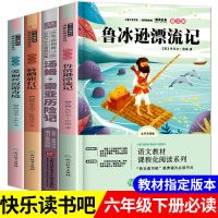 六年级下册必读课外书鲁滨逊漂流记汤姆索亚历险记正版骑鹅旅行记 六年级下册必读[全套4本]