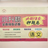 小升初数学试卷小升初必刷题六年级下册复习资料小升初模拟试卷 小升初必刷18套试卷[语文]