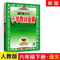 2021新版六年级语文下册全解教材教科书课本同步解读人教版部编版 六年级下册语文教材全解