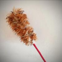 鸡毛掸子鸡毛扫家用车用除尘神器可伸缩穿线掸子掸头不掉毛 46厘米