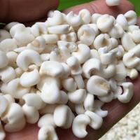 广西糯玉米粒雪芽粘玉米粒脱皮玉米爆米花玉米大颗粒大碴子苞米 1斤大颗粒玉米