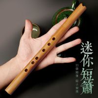 零基础入门洞箫便携苦竹高级短萧笛初学迷你古风六F调民族潇乐器 迷你短箫F调