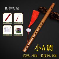 笛子竹笛迷你短笛无膜孔儿童成人初学零基础小玉笛女古风GF调乐器 小A调+配件