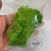 小装饰品摆件动物植物套装微景观多肉盆景海洋瓶鱼缸造景摆件玩偶 仿真苔藓10克一包