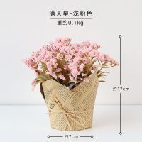 仿真花绿植小盆栽摆设客厅卧室假花塑料干花束盆景桌面摆件装饰品 满天星-浅粉色