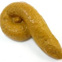 折扣仿真便便发泄整人热卖款屎粑粑减压玩具恶搞整蛊真的恶心 BB-1(经典6字) 什么都不加