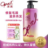 澳宝洗发水持久留香男女士改善干枯毛躁去屑柔顺香氛氨基酸洗发露 滋润顺滑【红参香味】 480gx1瓶【赠50g沐浴露】