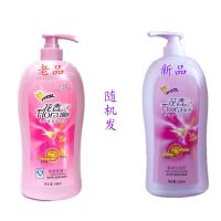 大瓶花香会所星级洗浴花香宾馆洗浴洗发水洗发乳香波沐浴露特惠 花香红色洗发露1瓶 1380ml