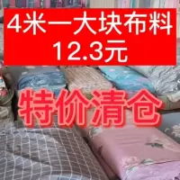 批发床品布料4米一大块宽幅床单被套印花布料磨毛大花布特价清仓 薄款随机被胆布料(4米足尺一大块)