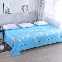 大尺寸床单加大炕单农村老家土炕床单磨毛加厚榻榻米大单子3米4米 兰悠之音 3米*2.3米炕单