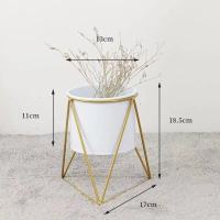 欧式铁艺花盆花架子置物架室内客厅简约时尚花架摆件装饰干花绿萝 三角精致白-小号
