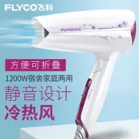 飞科电吹风机家用大功率负离子不伤发宿舍用学生静音冷热风吹风筒 白色FH6257 吹风机标配