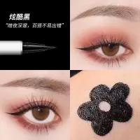 小澳汀同款眼线笔彩色眼线液速干持久不晕染防水白色极细新手 眼线笔【炫酷黑】