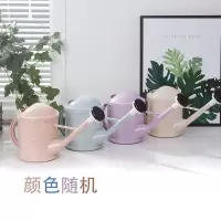 1.5L塑料园艺工具室内喷壶喷水壶 家用浇花浇水壶 大号长嘴洒水壶 颜色随机 【5包化肥+三件套 无水壶】
