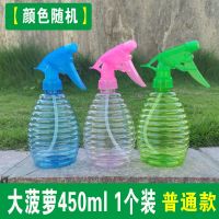 浇花喷壶家用园艺洒水壶透明喷雾瓶糖果色小喷壶500ml喷雾器工具 大菠萝喷壶450毫升1个装(普通款)