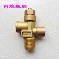 丙烷阀门配件丙烷国标瓶阀阀杆阀芯压帽瓶嘴BWF内丝丙烷瓶头 丙烷瓶阀