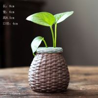 新款创意绿萝铜钱草文竹水培花盆花瓶桌面工艺品花器家居摆件 竹鱼篓