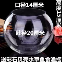 圆形鱼缸玻璃透明花瓶下面养金鱼斗鱼孔雀鱼上面养花客厅茶几摆放 加厚20圆球带赠品