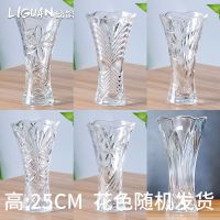 玻璃花瓶加厚加重客厅插花摆件水培富贵竹透明百合玫瑰花瓶大号 25厘米高 加厚一只(花纹随机)