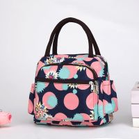 女包饭盒袋大号手提包加厚防水便当包妈咪牛津布手拎妈妈包小布包 宝蓝斑大波点
