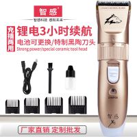 智感宠物电推剪大小狗狗剃毛器泰迪猫咪剃毛机狗毛电推子推毛神器 套餐1