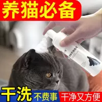宠物干洗泡沫狗狗沐浴露杀菌除臭杀螨泰迪萨摩耶宠物幼猫洗澡用品 1瓶装
