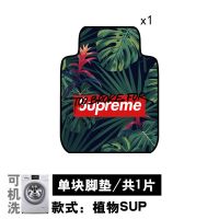 汽车脚垫通用易清洗卡通可爱大众奥迪单片单个主驾驶车用地毯车垫 前脚垫/单块[主副驾驶通用] 布朗可妮