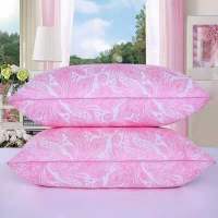 新婚庆枕头芯套装一对成人护颈椎枕大人单学生宿舍一只家用枕头 玫瑰粉色[低款] 一只装[无枕套]