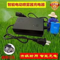 农用12V电动喷雾器充电器12V8A12AH20AH铅酸蓄电池电瓶智能充电器 12V铅酸充电器T孔