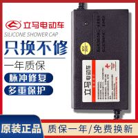 原装 立马电动车电瓶充电器36V12AH48V12AH60V20AH64V72V80V20AH 立马48V12AH T型