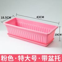 清仓种菜花盆塑料种菜盆阳台种菜神器室内特大蔬菜长方形花盆特价 特大少女粉(长43cm宽19高19) 1个盆(送化肥+种子