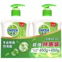 滴露抑菌洗手液儿童宝宝洗手液杀菌消毒洗手液家用洗手液 [双瓶]滴露植物呵护450g*2瓶