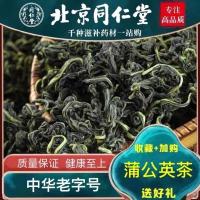 同仁堂蒲公英茶特级长白山带根野生天然婆婆丁茶 蒲公英茶250g