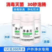 井水河水饮用水净化消毒净水片杀菌除藻剂水池水箱水塔消毒剂1瓶 100g