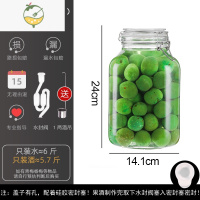 YICHENG密封罐玻璃泡酒瓶青梅果酒瓶酿酒罐专用酒瓶空瓶大酒坛杨梅酒容器 [水封阀款]方3000+1两酒吊 可备注酒具
