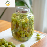 YICHENG泡酒玻璃瓶家用青梅石榴酒罐子加厚带龙头专用果酒瓶非密封罐容器 1898款4升(无龙头)酒具