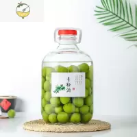 YICHENG家用酿酒泡酒玻璃瓶5斤自酿葡萄红酒装酒容器杨梅青梅酒瓶空瓶 10斤新款(1只)青梅贴酒具
