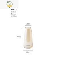 YICHENG态生活 北欧ins炫彩透明玻璃花瓶鲜花插花瓶摆件客厅水养水培花器 琥珀色