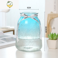 YICHENG轻奢 ins简约玻璃花瓶水养鲜花百合插花花器网红客厅装饰花瓶摆件 ins风(冰点)兰色 中等