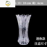 YICHENG简约玻璃花瓶摆件客厅插花水培水养富贵竹鲜花餐桌大号透明花器 20凤尾[迷你款]