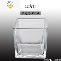 YICHENG水培器皿创意玻璃花盆水养植物瓶透明花器绿萝白掌花瓶正方形容器 12方缸摆件