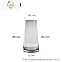 YICHENG轻奢描金花瓶网红透明玻璃客厅花器摆件装饰创意简约北欧水养插花 手描22K真金[一级品小号]古典灰♥终身质保
