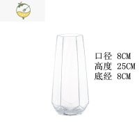 YICHENG北欧简约网红玻璃花瓶透明创意水养玫瑰百合客厅插花家用摆件花器 中号六边形(透明)