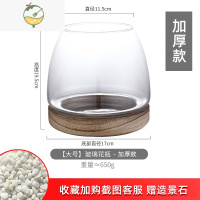 YICHENG插花瓶玻璃水养鲜花郁金香新款木制小花器禅意复古桌面矮花瓶鱼缸 木底花瓶大号(插花养鱼生态造景)新升级加厚