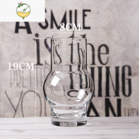 YICHENG北欧 创意恐龙蛋造型花器客厅鲜花插花玻璃花瓶透明 大号装饰摆设 透明恐龙蛋 19CM灯笼款 大