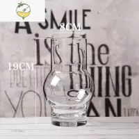 YICHENG北欧 创意恐龙蛋造型花器客厅鲜花插花玻璃花瓶透明 大号装饰摆设 透明恐龙蛋 19CM灯笼款 大